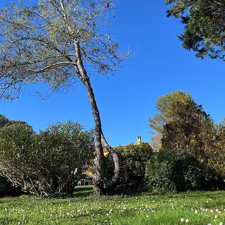 Villa De Miha Valbonne Dış mekan fotoğraf
