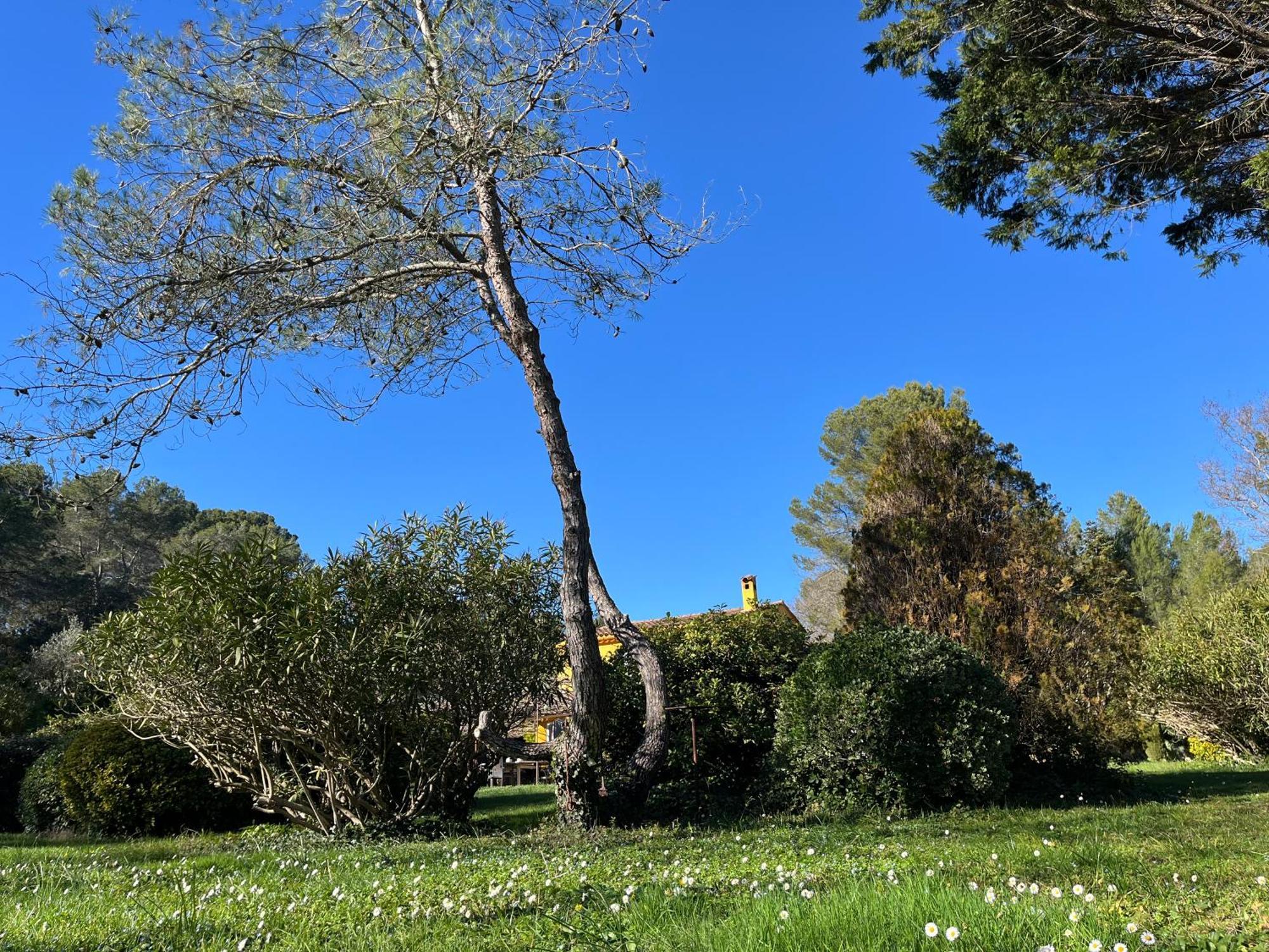 Villa De Miha Valbonne Dış mekan fotoğraf